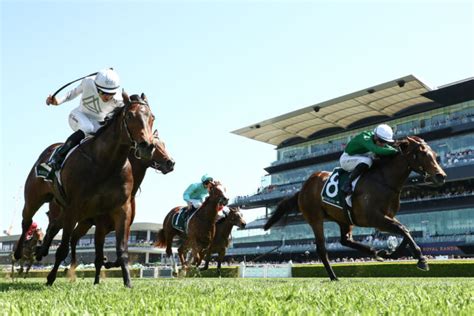 Gimcrack Stakes 2024 Tips, Betting & Results .